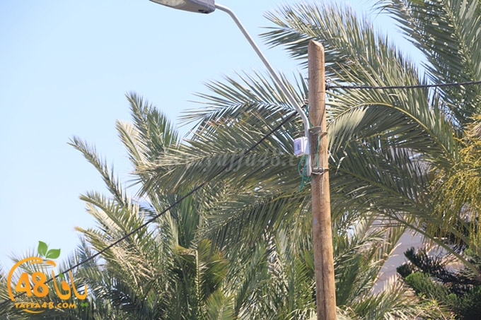 inara 7sanbek (3).JPG